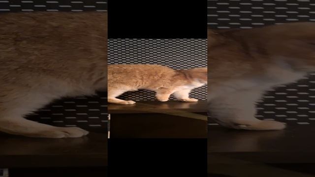 1000005080.mp4