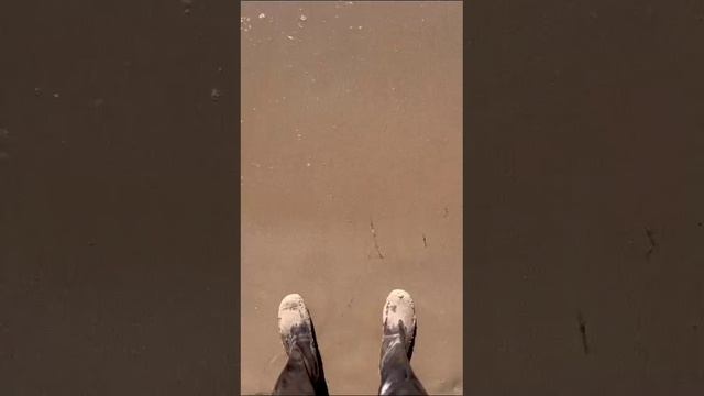 VID-20241127-WA0027.mp4