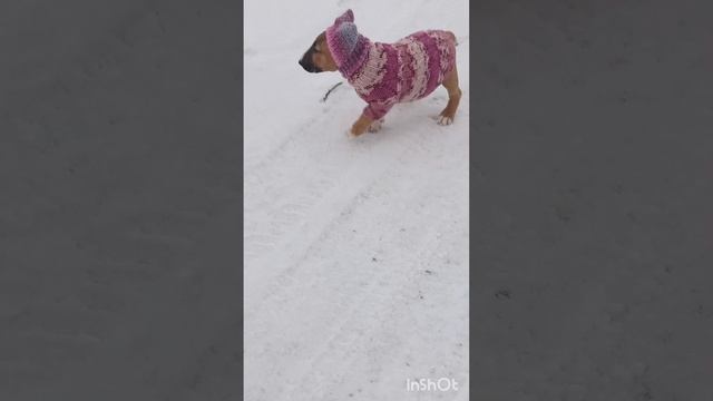 1000145329.mp4