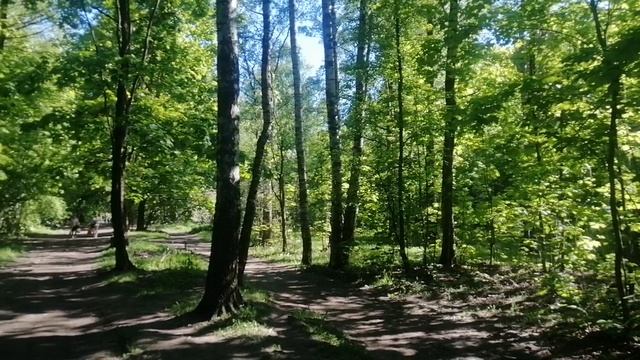 VID_20240518_164215