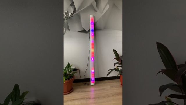 Светомузыка Вечеринка