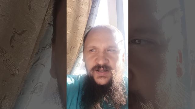 Что такое шенкель и его роль в балансе. Верховая езда и выездка