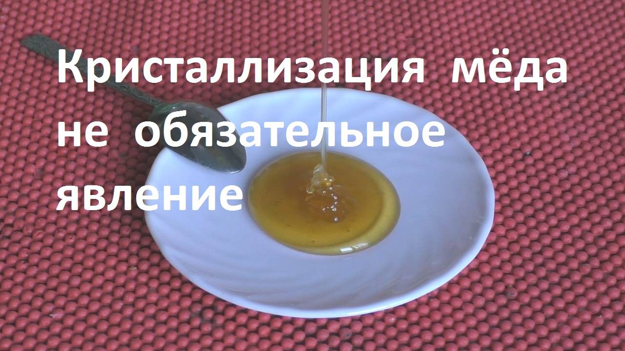 Почему откачанный мед быстро кристаллизуется