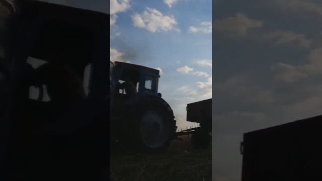 Т-40 ТУРБО выезд из Карьера.