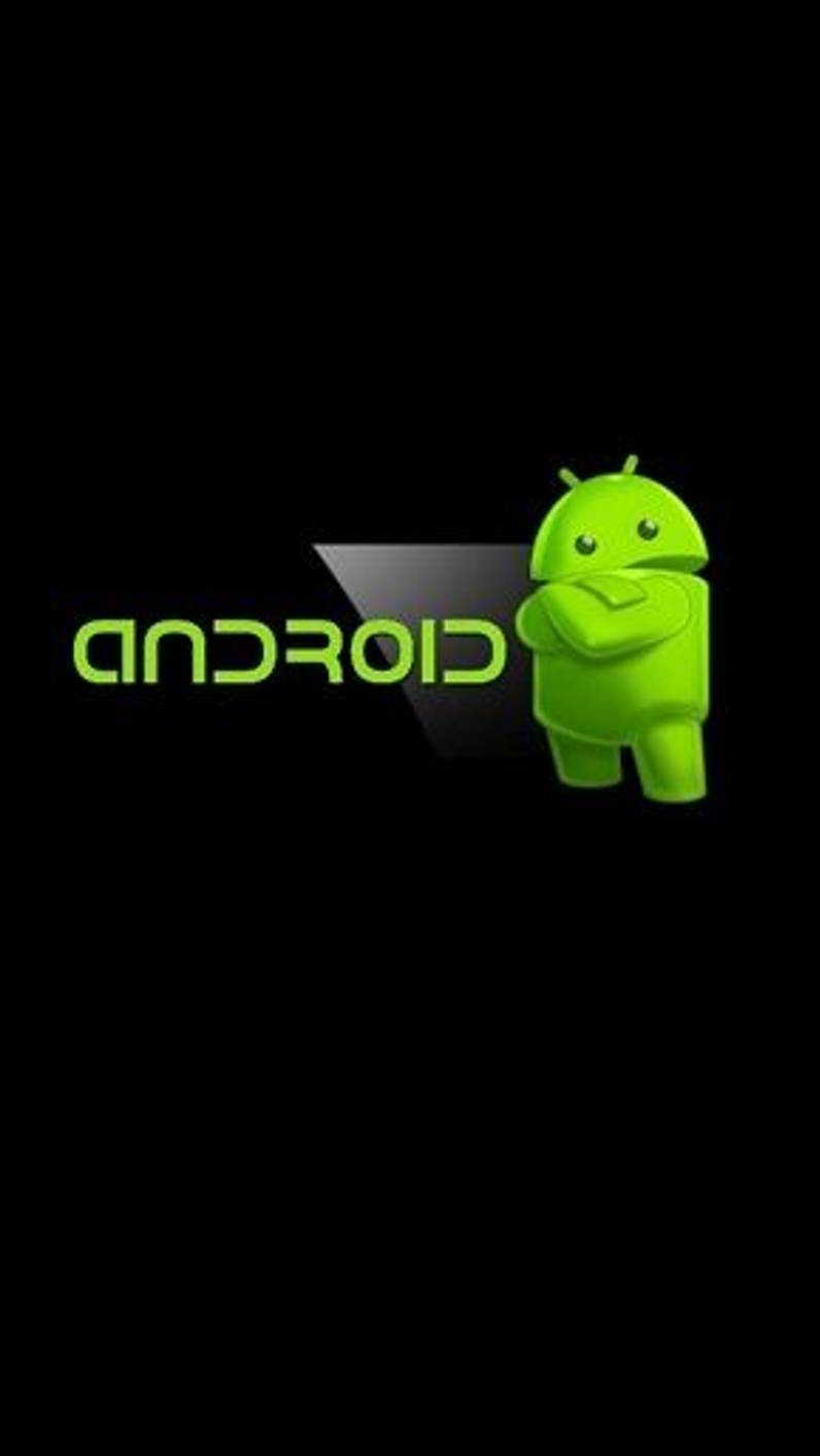 Как установить кэш игры на Android 13?