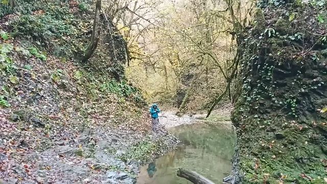 Ореховка, речки Сочи, Агва, Ажек, ручей Сванидзе :)