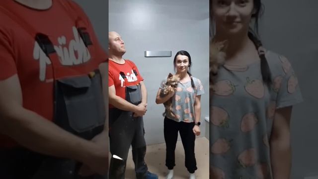 Отзыв об утеплении балкона в ЖК Балтийская Жемчужина! #shortvideo