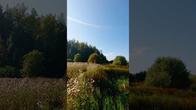 Ваше место счастья