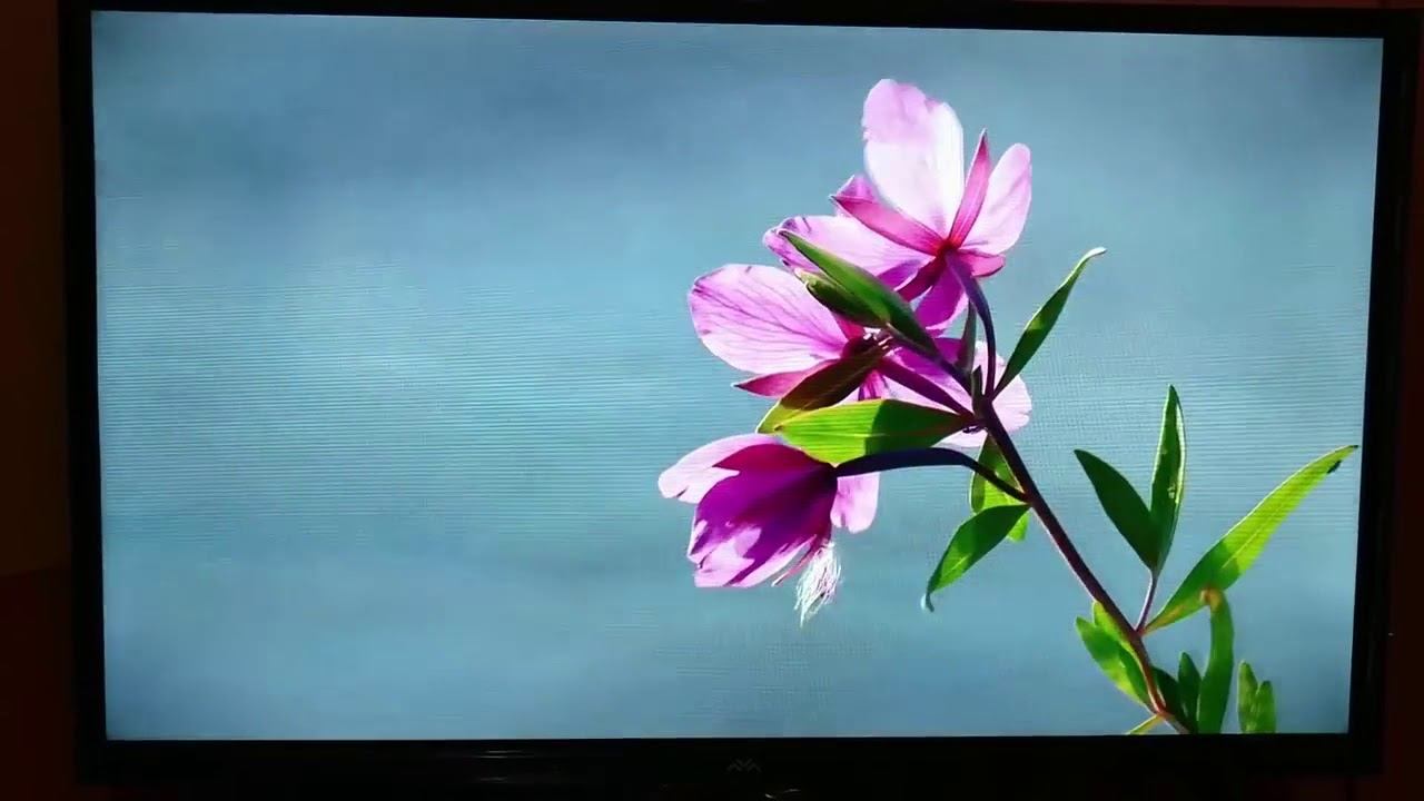 iFFALCON 32" Smart LED TV UNBOXING & REVIEW | Best Budget Smart Tv In Only 13,499