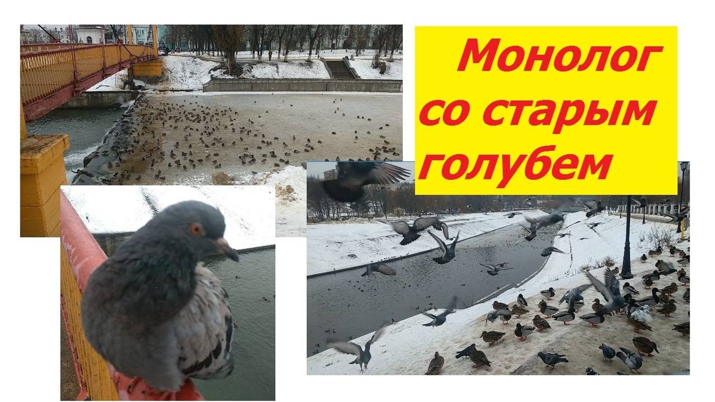 0934, город Орёл, Почтовый переулок, плотина на Орлике, подвесной мост, Богоявленский собор, январь,