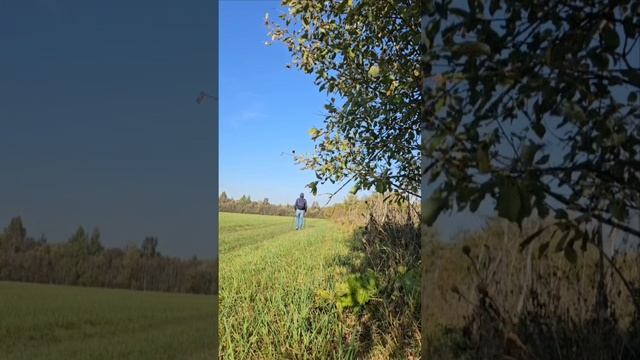 прогулка на свежем воздухе самое лучшее бесплатное средство для поддержания здоровья