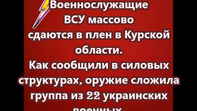 Военнослужащие ВСУ массово сдаются в плен в Курской области