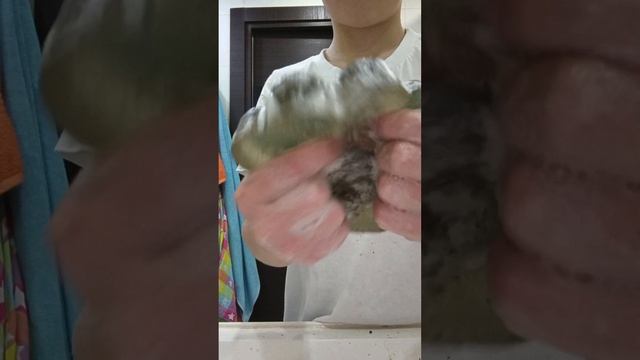 нашёл таба лапку на улице 😱😱😱