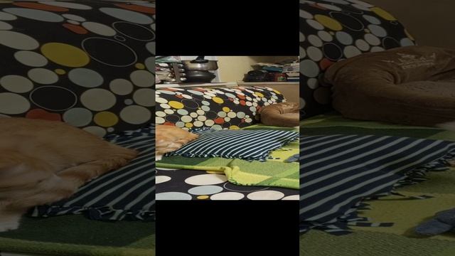 1000014989.mp4