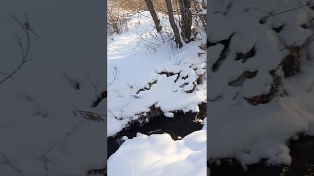 прогулка