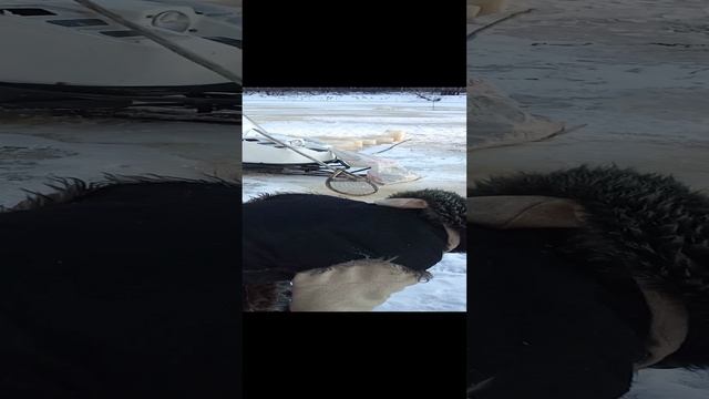1000015686.mp4