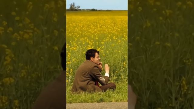Mr.Бин