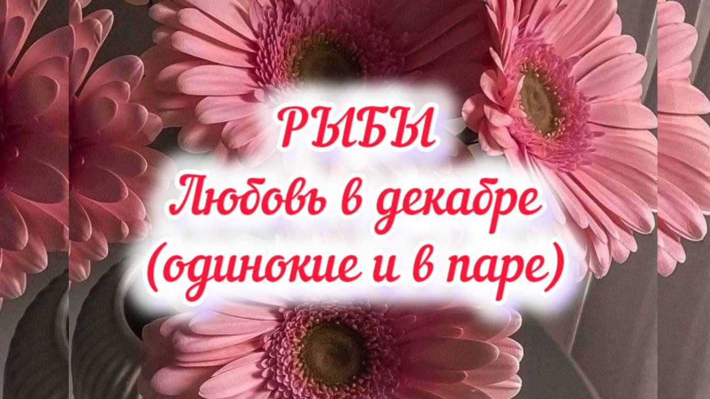 РЫБЫ - ЛЮБОВЬ в декабре 24г. (одинокие и в паре).