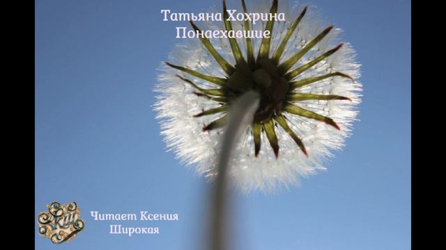 Татьяна Хохрина. Понаехавшие. Аудиокнига. Читает Ксения Широкая