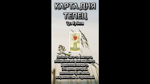 Карта дня ТЕЛЕЦ, подробно в описании