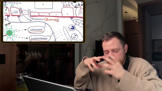 Наследие | Иммунитет. Медиаторы воспаления. Нейтрофилы, интерлейкины. Часть 2