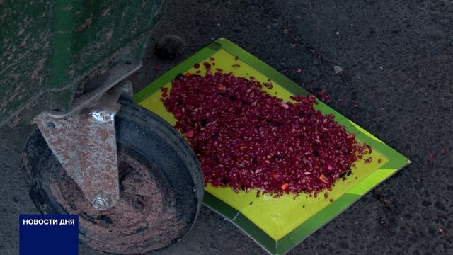 В ОРЕНБУРГЕ НАЧАЛИ ОБРАБАТЫВАТЬ МУСОРНЫЕ ПЛОЩАДКИ ОТ ГРЫЗУНОВ