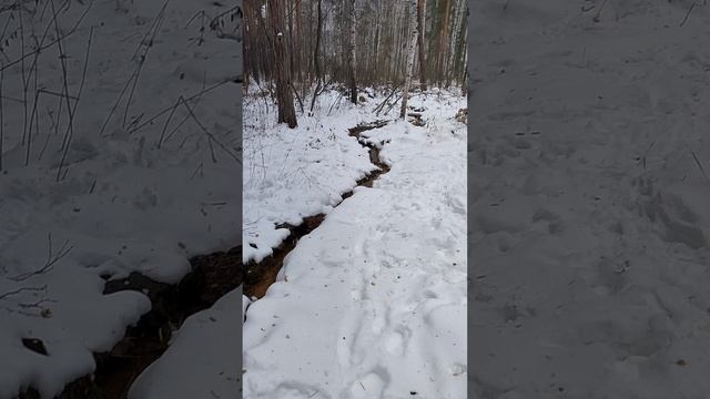 родник Памяти Екатеринбург