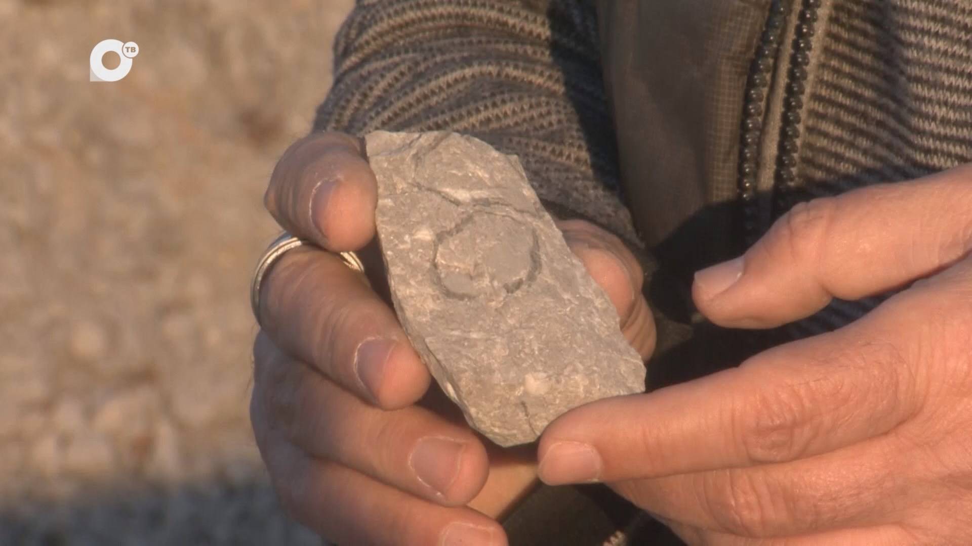 Морская / 28.11.24