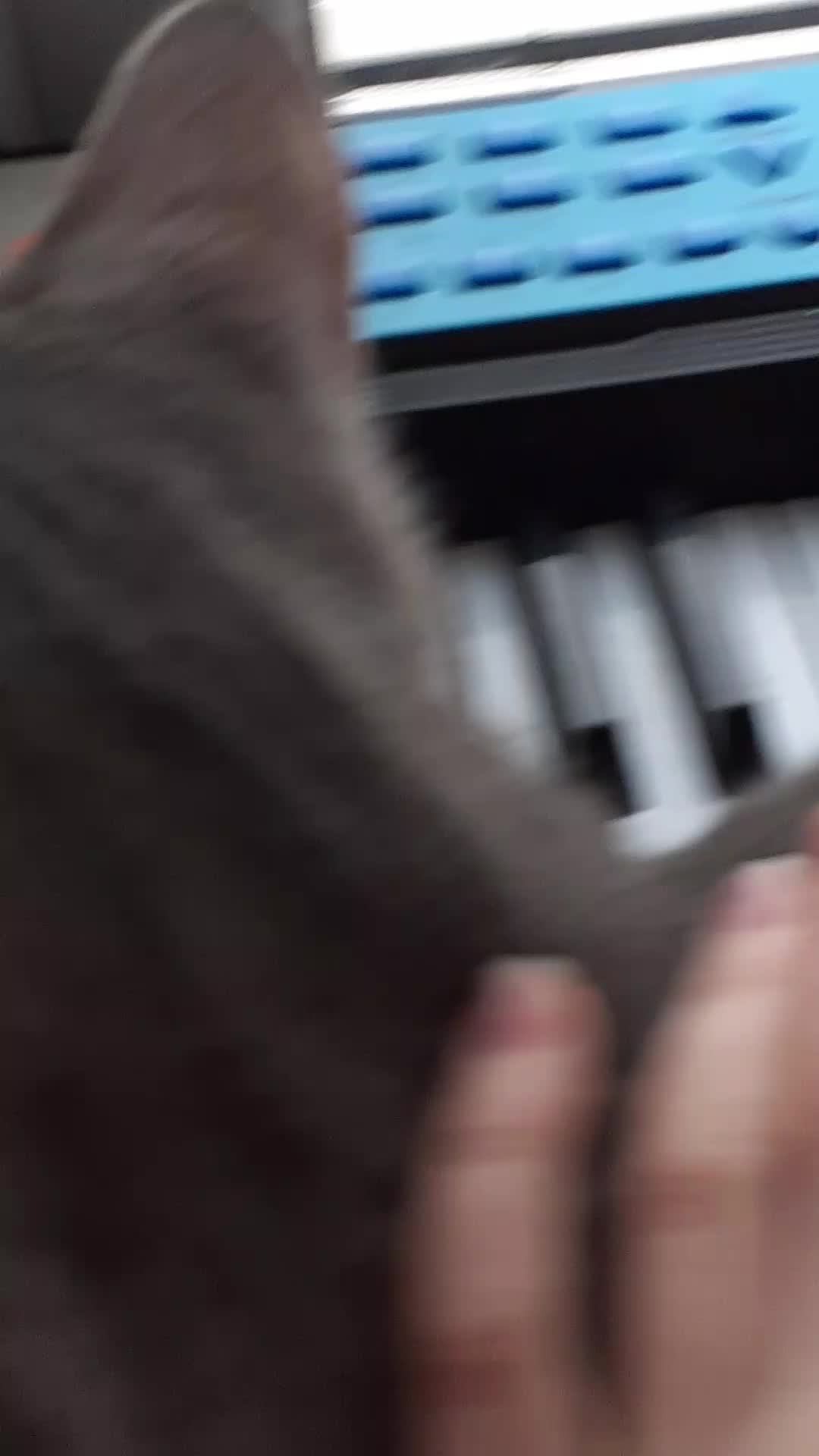 р