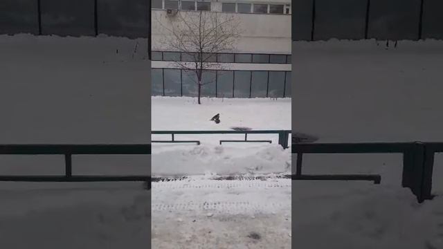 1000000331.mp4