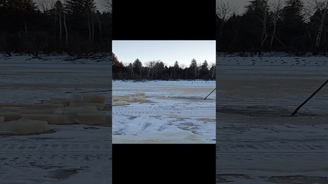 1000015676.mp4