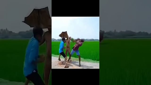 Жиза