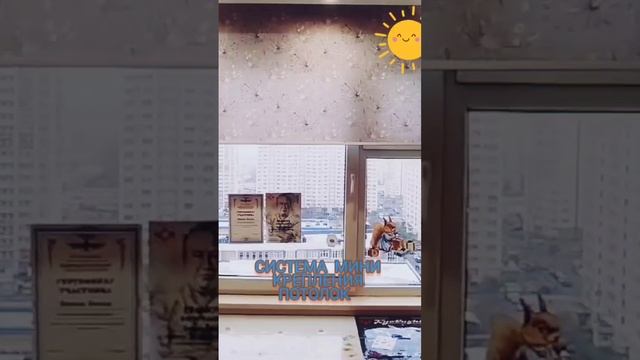 Рулонные Шторы