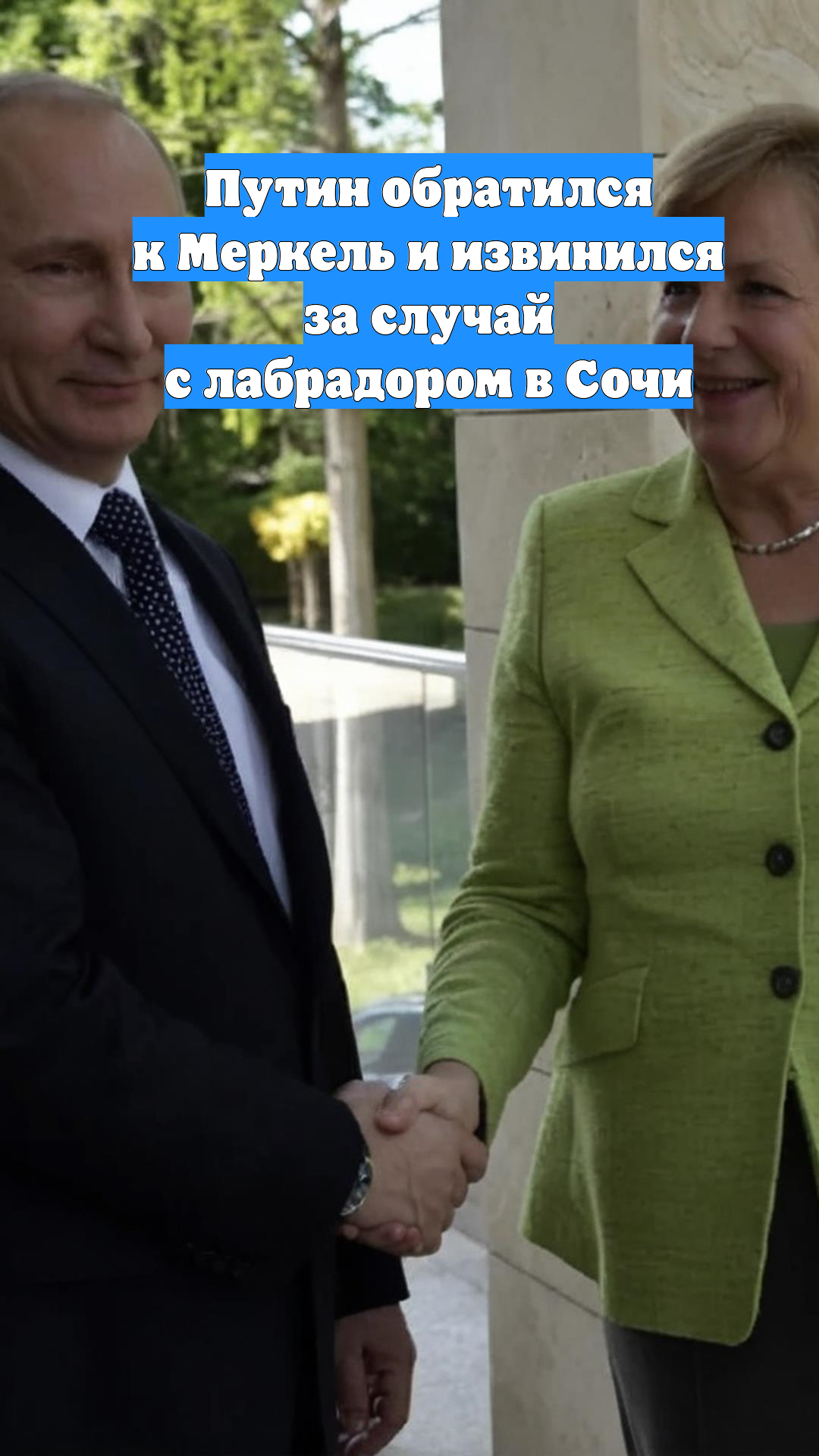 Путин обратился к Меркель и извинился за случай с лабрадором в Сочи