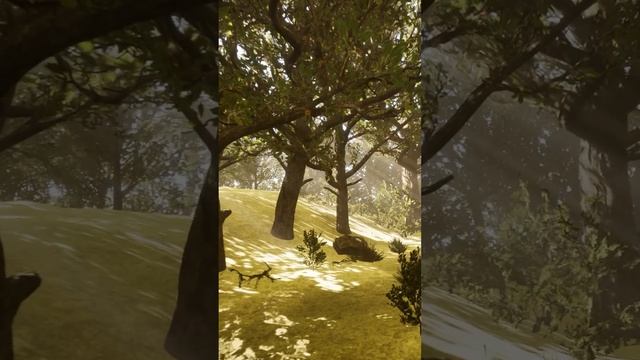 Первый проект в Unreal Engine 5