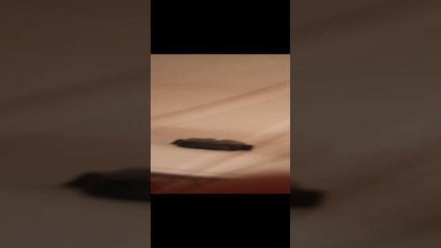 20241128_224410.mp4