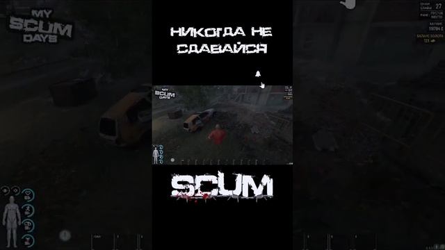 Никогда не сдавайся! #shorts #scum #scumday #myscumdays #scumsurvival #скам #пвп #scumpvp #scumигра