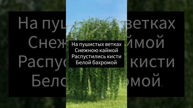 Сергей Есенин.   Стихотворение: Берёза