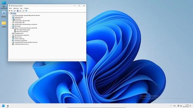 Что будет, если удалить все драйвера в Windows 11?