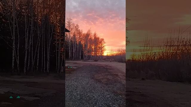 1007100153.mp4