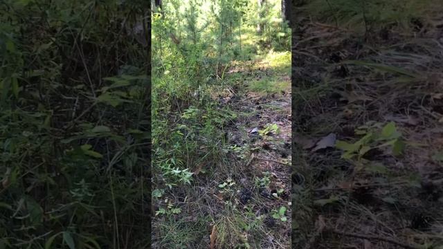 Наша жизнь - результат нашего выбора