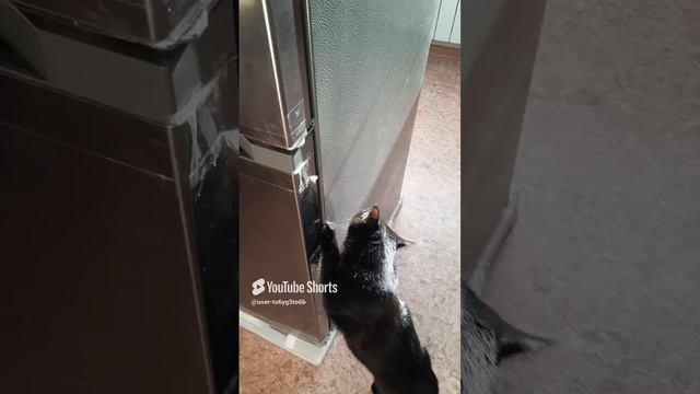 1000038314.mp4