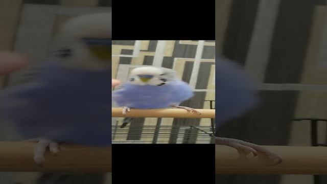 конец обзора