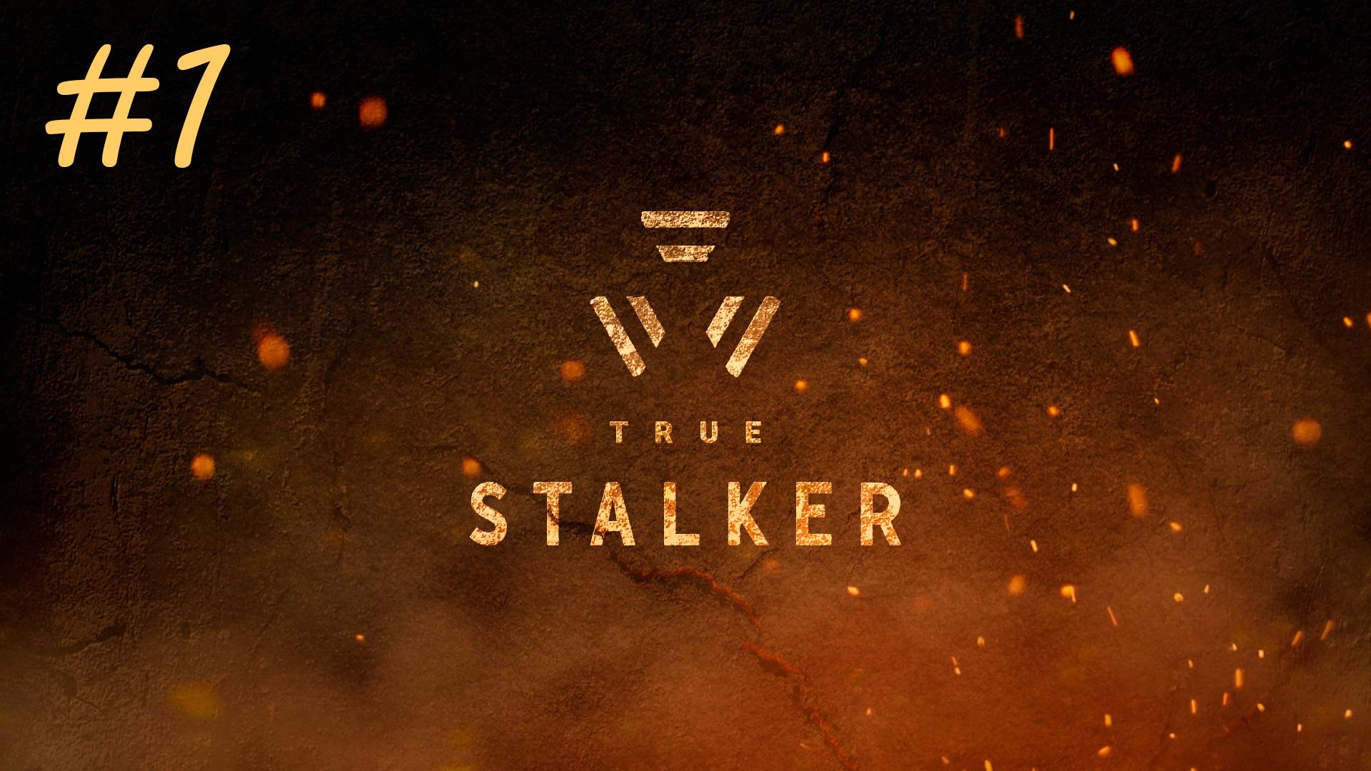 [PC] True Stalker | Прохождение | #1