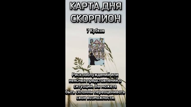 Карта дня  СКОРПИОН. В описании подробно