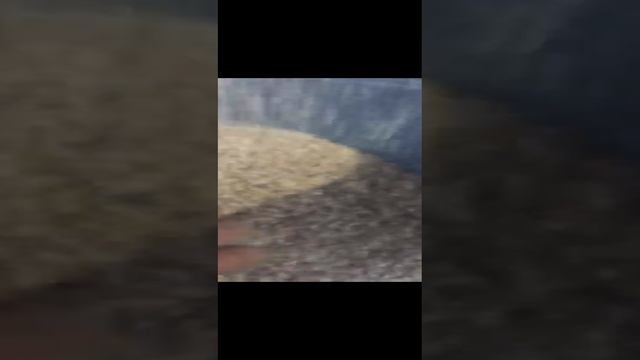 1000073014.mp4