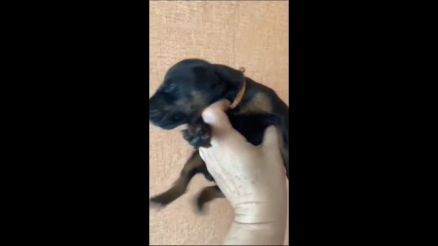 1000184624.mp4