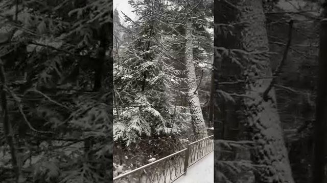 Полное видео на канале VLOG-23-11-23.Москва.Курорт минерал.вод МО.Бассейн,ванна с природной рапой👍