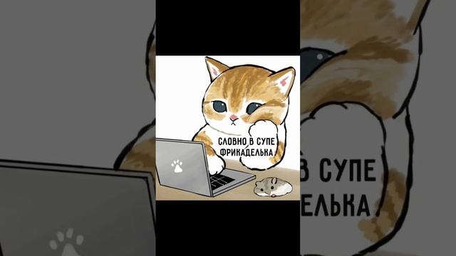 Новая неделька (котики Мофу Санд)