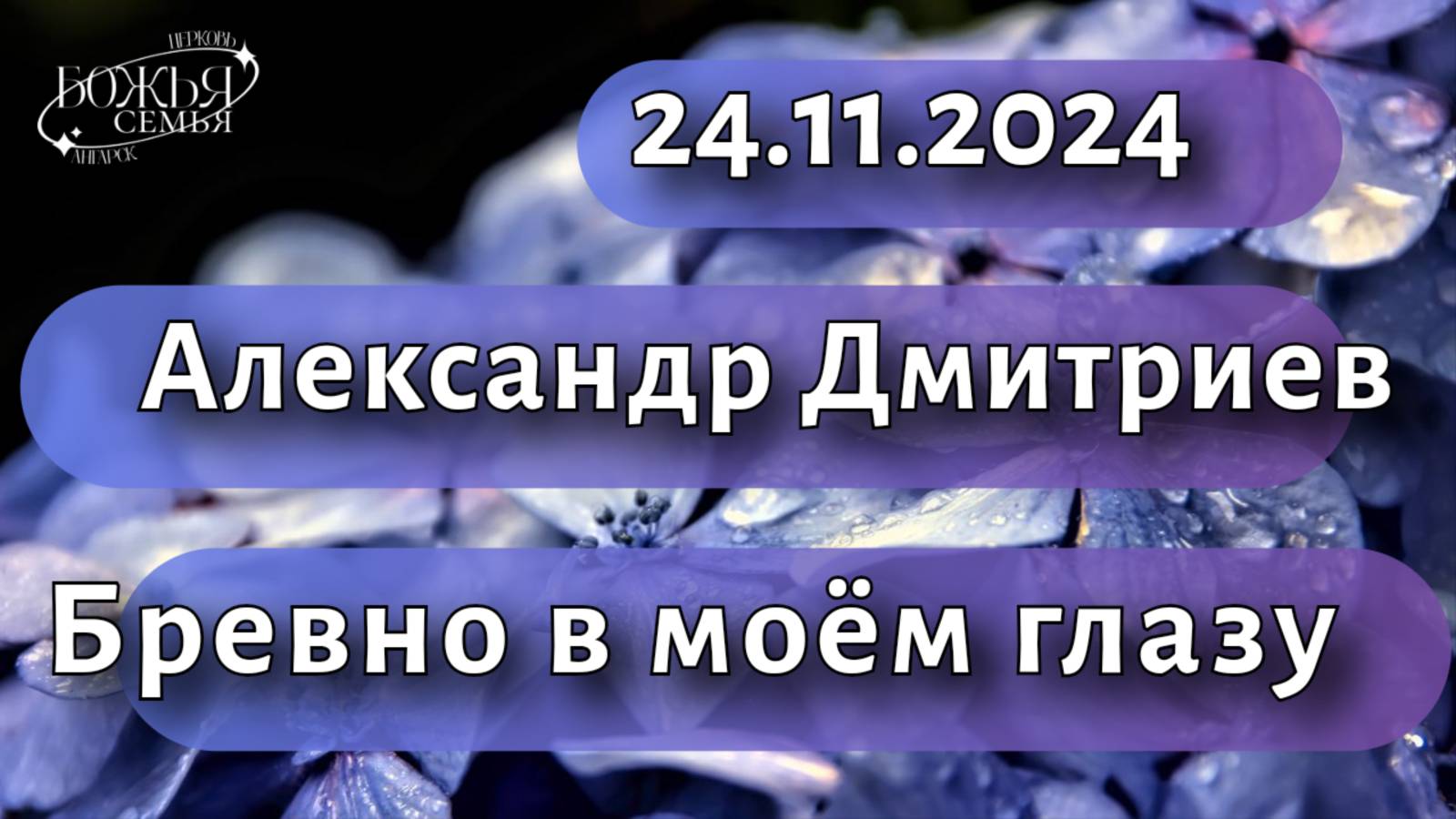 Александр Дмитриев  "Бревно в моём глазу" 24.11.2024